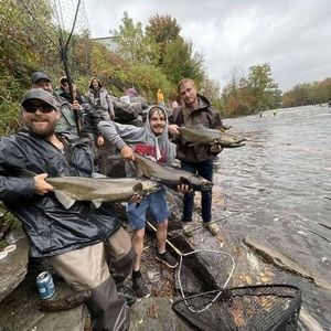 Meet your Posher, Carter david